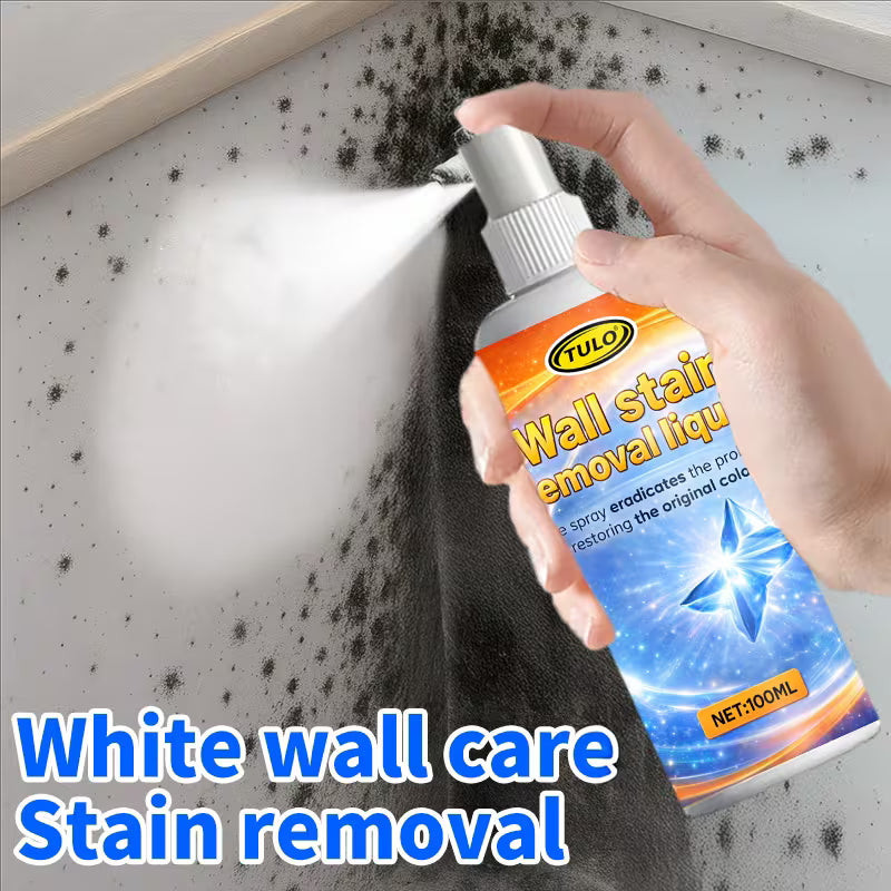 White Wall Surface Black Spot Care Spray,