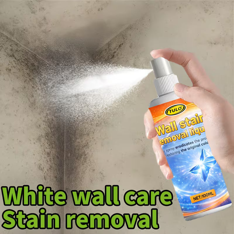 White Wall Surface Black Spot Care Spray,